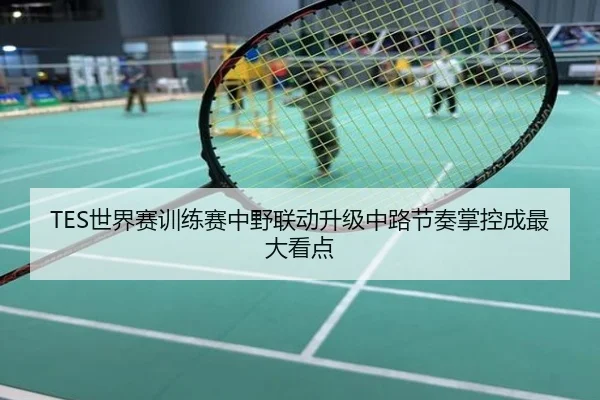 TES世界赛训练赛中野联动升级中路节奏掌控成最大看点